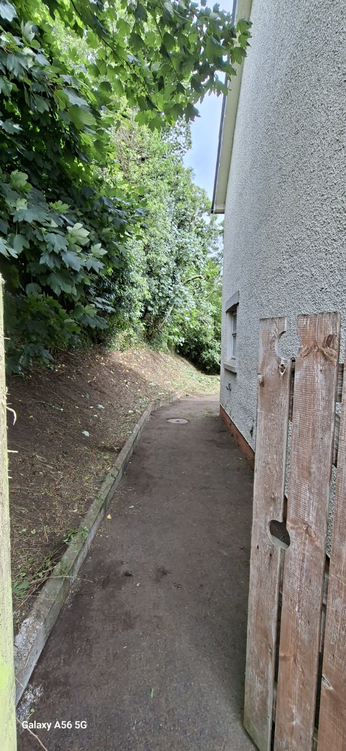 Garden access restored after vegetation clearance and tree reduction